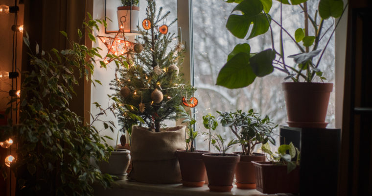 Imagoaan ihanampi ekologinen joulu – Kootut vinkit kestävään jouluun!